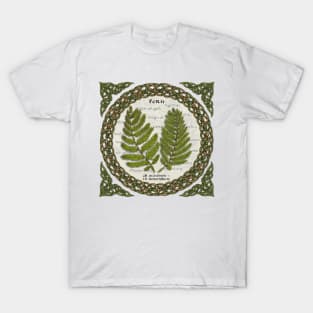 Celtic Tree Calendar Ferns T-Shirt